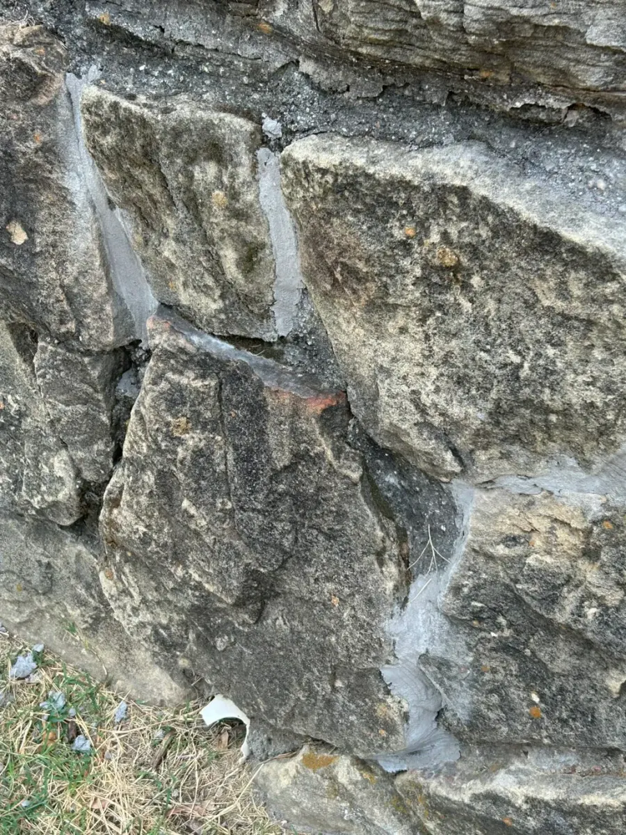 Project photo 2 from Barbara M.